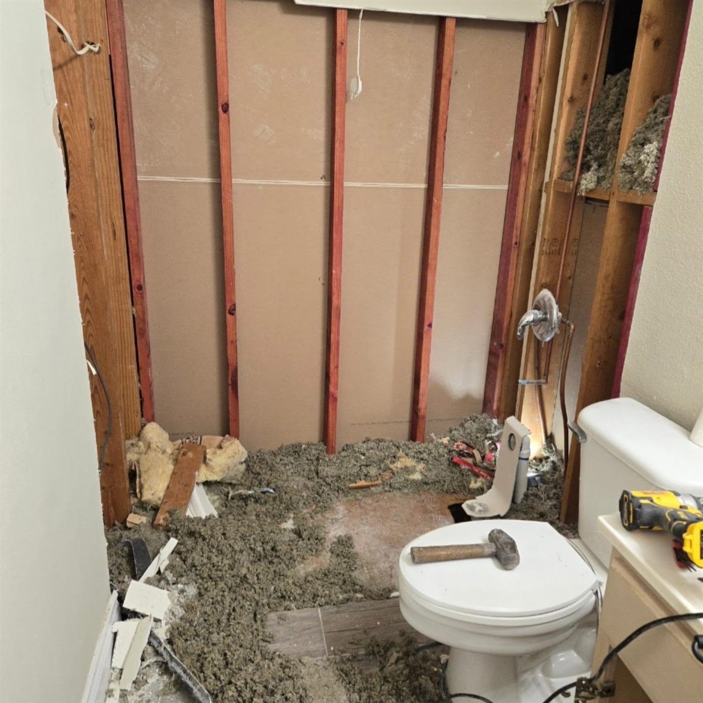 Bathroom stripped to the studs