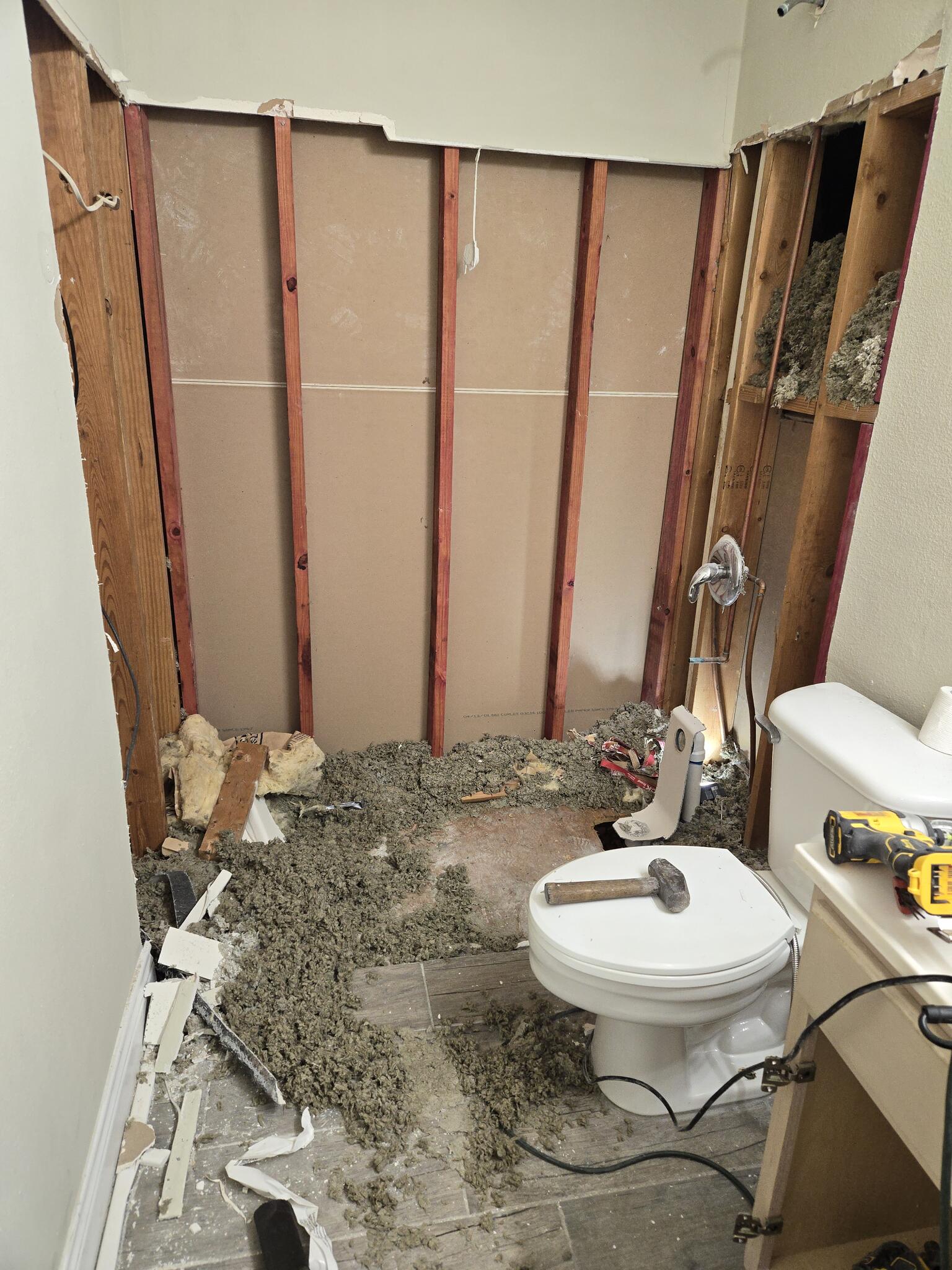Demo day — down to studs